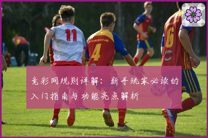 竞彩网规则详解:新手玩家必读的入门指南与功能亮点解析