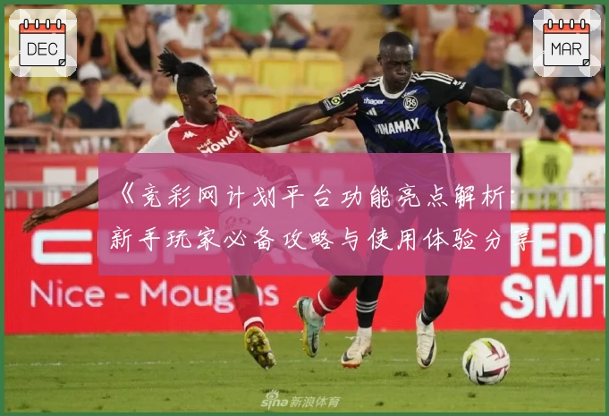 《竞彩网计划平台功能亮点解析：新手玩家必备攻略与使用体验分享》