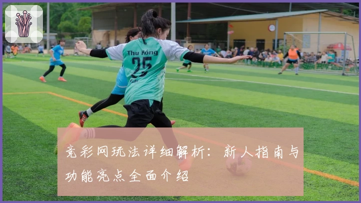 竞彩网玩法详细解析：新人指南与功能亮点全面介绍